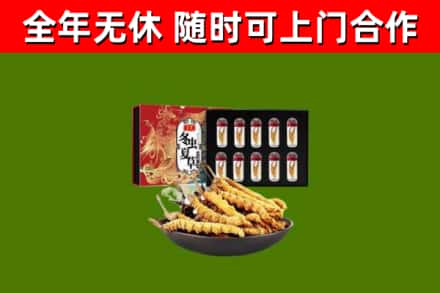 上蔡县烟酒回收冬虫夏草礼盒.jpg